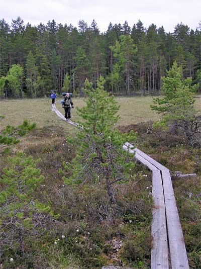 Retkeläisiä ylittämässä suota pitkospuilla.