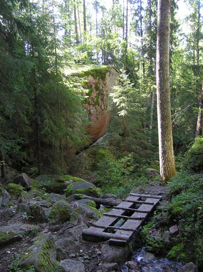 Metsämaisema.