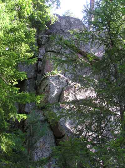 Lohjennut kallionjyrkänne metsässä.